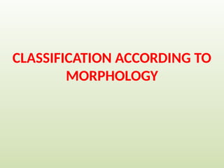 CLASSIFICATION ACCORDING TO
MORPHOLOGY
 