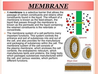 Model Membrane System Monolayer , planer bilayer and liposomes as model | PPTX