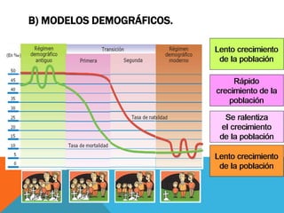 B) MODELOS DEMOGRÁFICOS.
 