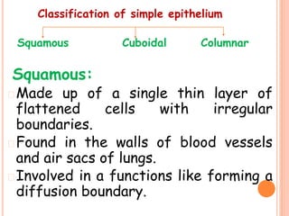 xi-7-structural-organisation-in-animals.ppt