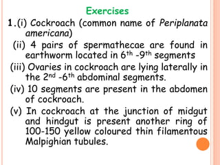 Exercises
1.(i) Cockroach (common name of Periplanata
americana)
(ii) 4 pairs of spermathecae are found in
earthworm located in 6th -9th segments
(iii) Ovaries in cockroach are lying laterally in
the 2nd -6th abdominal segments.
(iv) 10 segments are present in the abdomen
of cockroach.
(v) In cockroach at the junction of midgut
and hindgut is present another ring of
100-150 yellow coloured thin filamentous
Malpighian tubules.
 