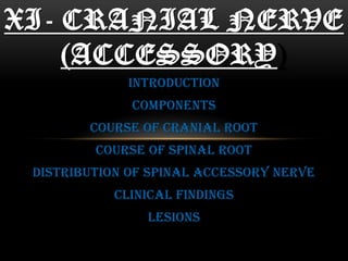 INTRODUCTION
COMPONENTS
COURSE OF CRANIAL ROOT
COURSE OF SPINAL ROOT
DISTRIBUTION OF SPINAL ACCESSORY NERVE
CLINICAL FINDINGS
LESIONS
XI- CRANIAL NERVE
(ACCESSORY)
 