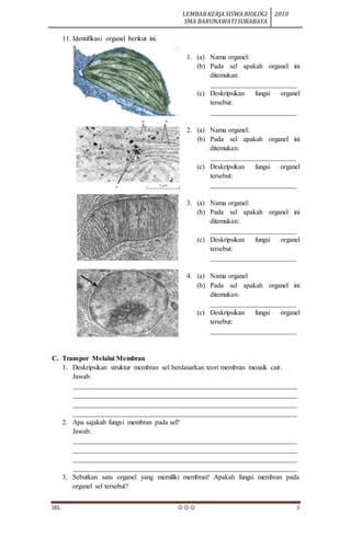LEMBARKERJASISWABIOLOGI
SMA BARUNAWATISURABAYA
2010
SEL    3
11. Identifikasi organel berikut ini.
1. (a) Nama organel:
(b) Pada sel apakah organel ini
ditemukan:
_________________________
(c) Deskripsikan fungsi organel
tersebut:
_________________________
2. (a) Nama organel:
(b) Pada sel apakah organel ini
ditemukan:
_________________________
(c) Deskripsikan fungsi organel
tersebut:
_________________________
3. (a) Nama organel:
(b) Pada sel apakah organel ini
ditemukan:
_________________________
(c) Deskripsikan fungsi organel
tersebut:
_________________________
4. (a) Nama organel
(b) Pada sel apakah organel ini
ditemukan:
_________________________
(c) Deskripsikan fungsi organel
tersebut:
_________________________
C. Transpor Melalui Membran
1. Deskripsikan struktur membran sel berdasarkan teori membran mozaik cair.
Jawab:
_________________________________________________________________
_________________________________________________________________
_________________________________________________________________
_________________________________________________________________
2. Apa sajakah fungsi membran pada sel?
Jawab:
_________________________________________________________________
_________________________________________________________________
_________________________________________________________________
_________________________________________________________________
3. Sebutkan satu organel yang memiliki membran! Apakah fungsi membran pada
organel sel tersebut?
 