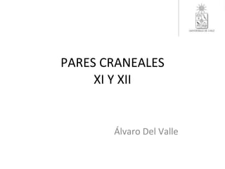 PARES CRANEALES XI Y XII Álvaro Del Valle 