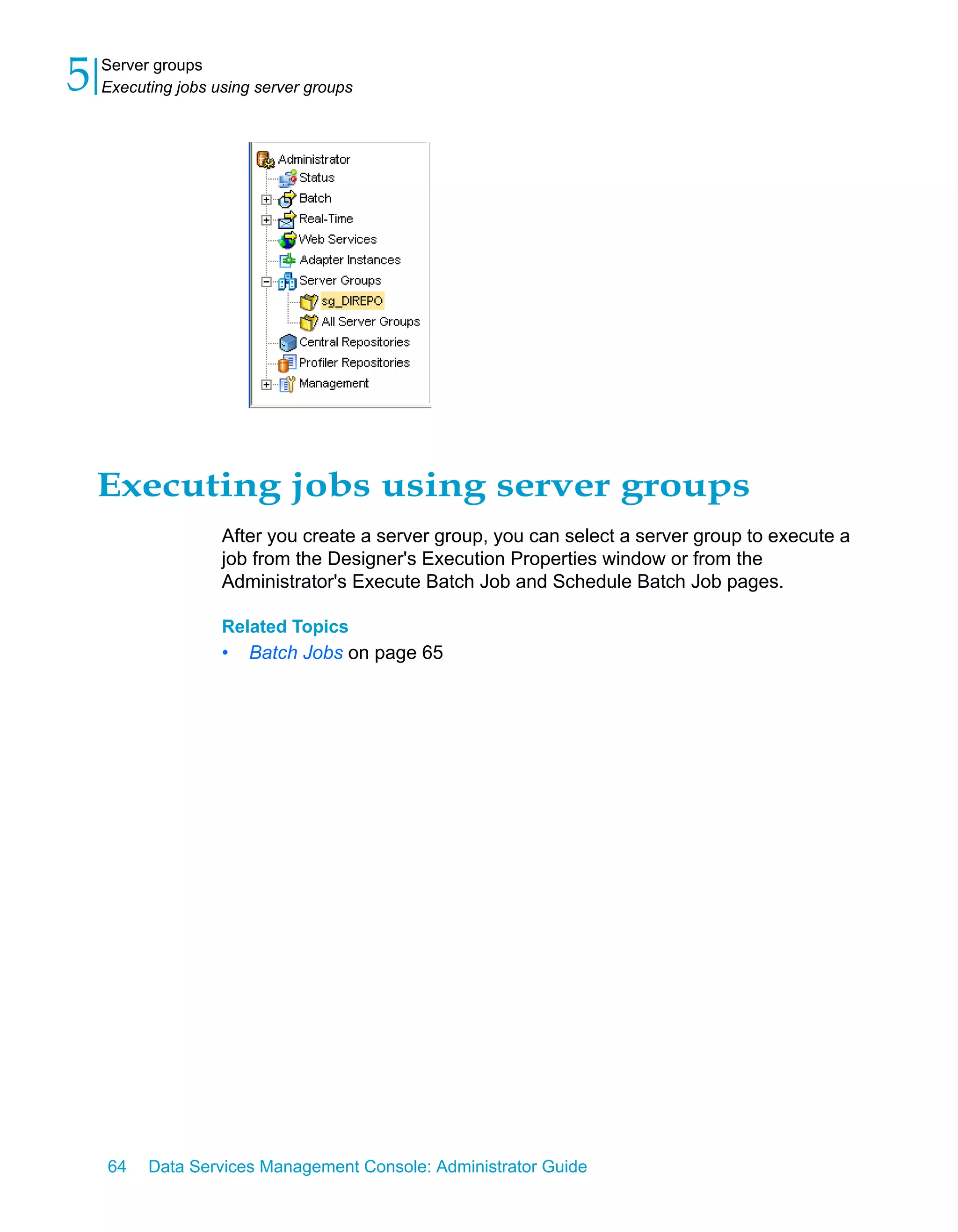 5   Server groups
    Executing jobs using server groups




    Executing jobs using server groups
                    After you create a server group, you can select a server group to execute a
                    job from the Designer's Execution Properties window or from the
                    Administrator's Execute Batch Job and Schedule Batch Job pages.

                    Related Topics
                    •   Batch Jobs on page 65




    64    Data Services Management Console: Administrator Guide
 