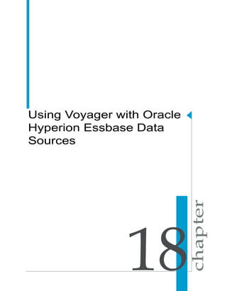 Using Voyager with Oracle
Hyperion Essbase Data
Sources




                18
 