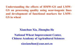 Understanding the effects of HMW-GS and LMW-
GS on processing quality using near-isogenic lines
and development of functional markers for LMW-
GS in wheat



          Xianchun Xia, Zhonghu He
     National Wheat Improvement Center,
    Chinese Academy of Agricultural Sciences
           xiaxianchun@caas.net.cn
 