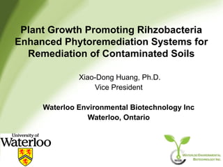 Plant Growth Promoting Rihzobacteria
Enhanced Phytoremediation Systems for
  Remediation of Contaminated Soils

              Xiao-Dong Huang, Ph.D.
                  Vice President

     Waterloo Environmental Biotechnology Inc
                Waterloo, Ontario
 