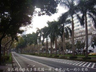 台北的马路大多像花园一样 , 市中心之一的仁爱路 。 