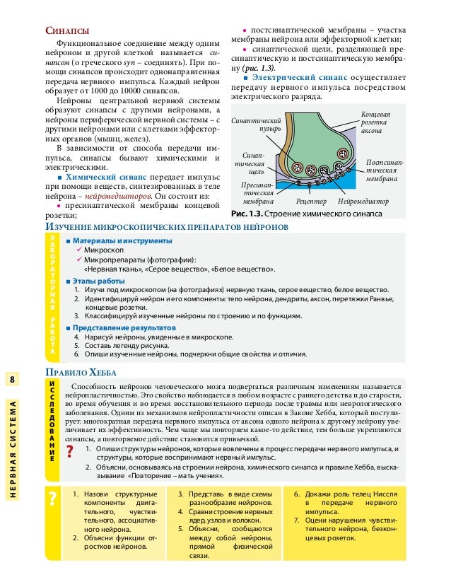 Учебник Биологии 1996Г - ofiscompanion