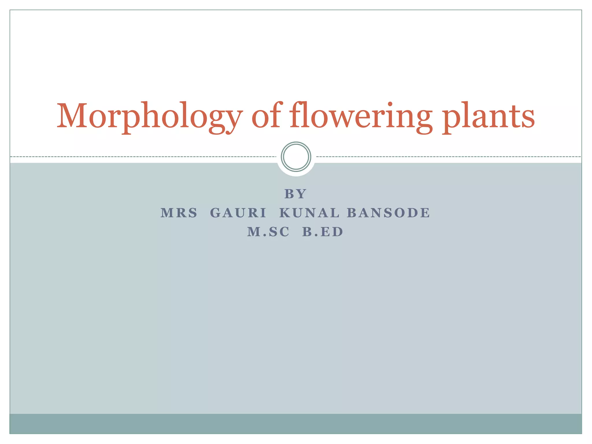 Types of Roots and plant classification | PPT