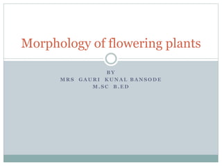 B Y
M R S G A U R I K U N A L B A N S O D E
M . S C B . E D
Morphology of flowering plants
 