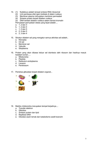 14. (1) Nuklelous adalah tempat sintesis RNA ribosomal
(2) Unit pembawa sifat (gen) terletak di dalam nukleus
(3) Membran plasma merupakan membran permeabel
(4) Sintesis protein terjadi didalam nukleus
(5) DNA teretak didalam nukleus dalam bentuk kromatin
Pernyataan-pernyataan diatas yang tepat adalah....
a. 1, 2 dan 3
b. 1, 2 dan 4
c. 1, 2 dan 5
d. 2, 4 dan 5
e. 2, 3 dan 4
15. Struktur didalam sel yang mengatur semua aktivitas sel adalah..
a. Kloroplas
b. Inti sel
c. Membran sel
d. Vakuola
e. Sitoplasma
16. Protein yang akan dibawa keluar sel disintesis oleh ribosom dan hasilnya masuk
kedalam lumen.....
a. Mitokondria
b. Plastida
c. Retikulum endoplasma
d. Lisosom
e. Peroksisom
17. Peristiwa glikosilasi terjadi didalam organel...
18. Matriks mitokondria merupakan tempat terjadinya....
a. Transfer elektron
b. Glikolisis
c. Sintesis protein dan lipid
d. Replikasi DNA
e. Oksidasi asam lemak dan katabolisme asetil koenzim
3
 