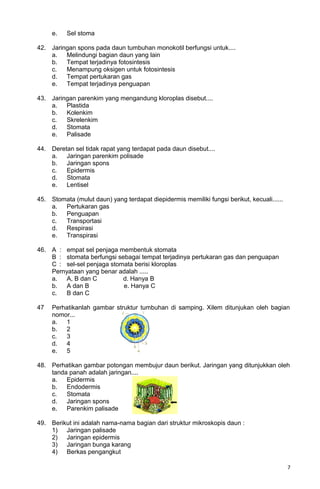 e. Sel stoma
42. Jaringan spons pada daun tumbuhan monokotil berfungsi untuk....
a. Melindungi bagian daun yang lain
b. Tempat terjadinya fotosintesis
c. Menampung oksigen untuk fotosintesis
d. Tempat pertukaran gas
e. Tempat terjadinya penguapan
43. Jaringan parenkim yang mengandung kloroplas disebut....
a. Plastida
b. Kolenkim
c. Skrelenkim
d. Stomata
e. Palisade
44. Deretan sel tidak rapat yang terdapat pada daun disebut....
a. Jaringan parenkim polisade
b. Jaringan spons
c. Epidermis
d. Stomata
e. Lentisel
45. Stomata (mulut daun) yang terdapat diepidermis memiliki fungsi berikut, kecuali......
a. Pertukaran gas
b. Penguapan
c. Transportasi
d. Respirasi
e. Transpirasi
46. A : empat sel penjaga membentuk stomata
B : stomata berfungsi sebagai tempat terjadinya pertukaran gas dan penguapan
C : sel-sel penjaga stomata berisi kloroplas
Pernyataan yang benar adalah .....
a. A, B dan C d. Hanya B
b. A dan B e. Hanya C
c. B dan C
47 Perhatikanlah gambar struktur tumbuhan di samping. Xilem ditunjukan oleh bagian
nomor...
a. 1
b. 2
c. 3
d. 4
e. 5
48. Perhatikan gambar potongan membujur daun berikut. Jaringan yang ditunjukkan oleh
tanda panah adalah jaringan....
a. Epidermis
b. Endodermis
c. Stomata
d. Jaringan spons
e. Parenkim palisade
49. Berikut ini adalah nama-nama bagian dari struktur mikroskopis daun :
1) Jaringan palisade
2) Jaringan epidermis
3) Jaringan bunga karang
4) Berkas pengangkut
7
 