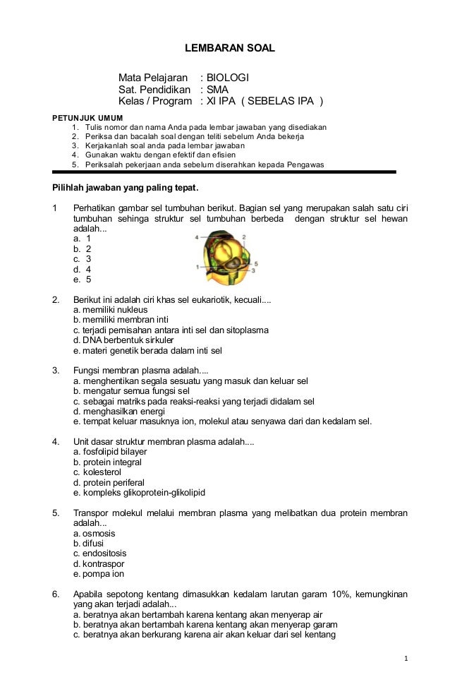 Soal Biologi Xi 7