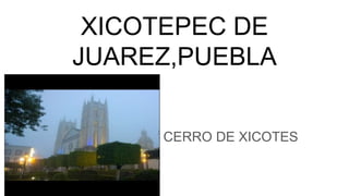 XICOTEPEC DE
JUAREZ,PUEBLA
CERRO DE XICOTES
 