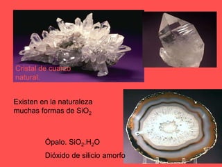Son la base de la litosfera de nuestro planeta.