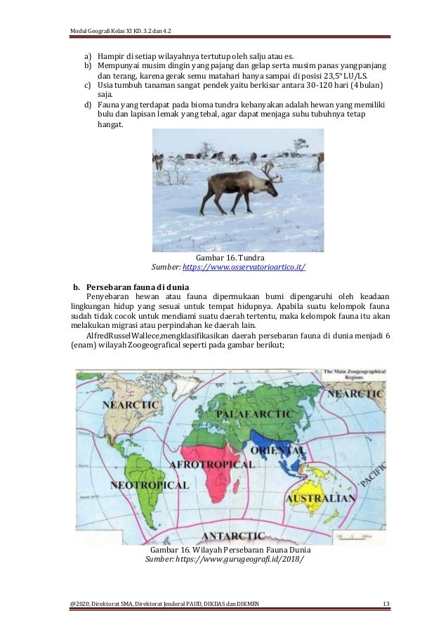 Xi geografi kd 3.2 flora fauna part 1