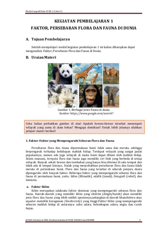 Xi Geografi Kd 3 2 Flora Fauna Part 1