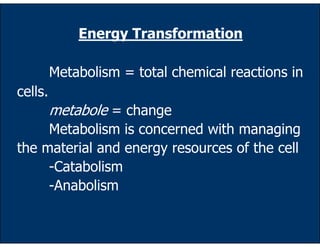 Energy Transformation

         Metabolism = total chemical reactions in
cells.
         metabole = change
     Metabolism is concerned with managing
the material and energy resources of the cell
     -Catabolism
     -Anabolism
 