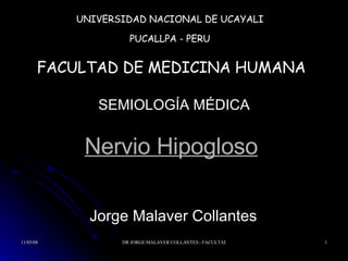 Nervio Hipogloso Jorge Malaver Collantes  UNIVERSIDAD NACIONAL DE UCAYALI PUCALLPA - PERU FACULTAD DE MEDICINA HUMANA SEMIOLOGÍA MÉDICA 