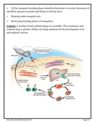 Human Health And Diseases Project