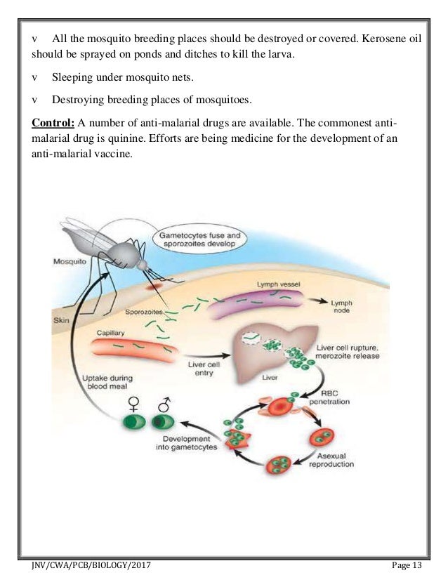 Xii biology project on common desease in human & causes and remed…
