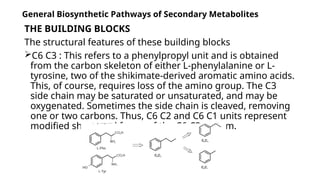 XIII.-General-Biosynthetic-Pathways-of-Secondary-Metabolites.pptx