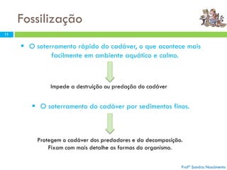 Fossilização
11
 O soterramento rápido do cadáver, o que acontece mais
facilmente em ambiente aquático e calmo.
 O soterramento do cadáver por sedimentos finos.
Impede a destruição ou predação do cadáver
Protegem o cadáver dos predadores e da decomposição.
Fixam com mais detalhe as formas do organismo.
Profª Sandra Nascimento
 