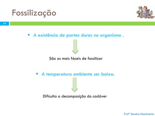 Fossilização
12
 A temperatura ambiente ser baixa.
 A existência de partes duras no organismo .
São as mais fáceis de fossilizar
Dificulta a decomposição do cadáver
Profª Sandra Nascimento
 