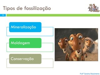 Tipos de fossilização
Mineralização
Moldagem
Conservação
Profª Sandra Nascimento
13
 