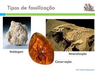 Tipos de fossilização
Profª Sandra Nascimento
14
Moldagem
Mineralização
Conservação
 