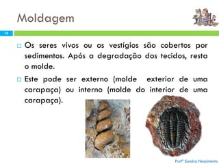 Moldagem
 Os seres vivos ou os vestígios são cobertos por
sedimentos. Após a degradação dos tecidos, resta
o molde.
 Este pode ser externo (molde exterior de uma
carapaça) ou interno (molde do interior de uma
carapaça).
Profª Sandra Nascimento
16
Profª Sandra Nascimento
 