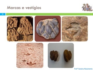 Marcas e vestígios
Profª Sandra Nascimento
21
Profª Sandra Nascimento
 