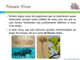 Fósseis Vivos
22
 Existem alguns casos de organismos que se mantiveram quase
inalterados durante muitos milhões de anos, uma vez que as
suas formas fossilizadas são praticamente idênticas a seres
vivos atuais.
 A estes seres, que não sofreram grandes transformações ao
longo dos tempos, dá-se o nome de fósseis vivos.
Profª Sandra Nascimento
 