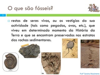 O que são fósseis?
3
 restos de seres vivos, ou os vestígios da sua
actividade (tais como pegadas, ovos, etc.), que
viveu em determinado momento da História da
Terra e que se encontram preservados nos estratos
das rochas sedimentares.
Profª Sandra Nascimento
 