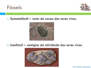Fósseis
5
 Somatofóssil – resto do corpo dos seres vivos.
 Icnofóssil – vestígios da atividade dos seres vivos.
Profª Sandra Nascimento
 