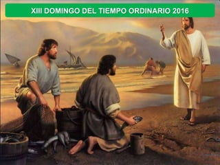 XIII DOMINGO DEL TIEMPO ORDINARIO 2016
 