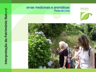 observação de aves Estuário do rio Cávado - Esposende 