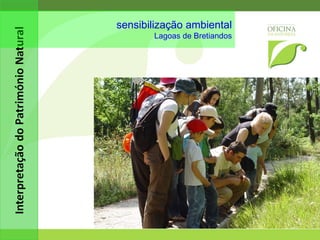 observação de aves Estuário do rio Cávado - Esposende 