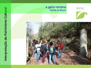 rota das camélias Minho 