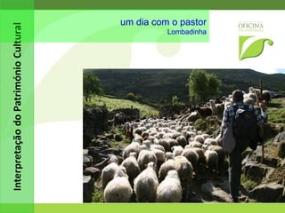 rota das camélias Minho 