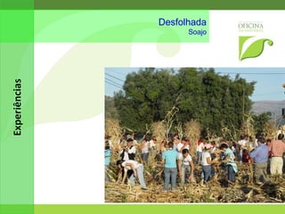 aspectos da vida comunitária Soajo 