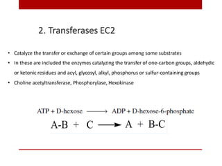 2. Transferases EC2
• Catalyze the transfer or exchange of certain groups among some substrates
• In these are included the enzymes catalyzing the transfer of one-carbon groups, aldehydic
or ketonic residues and acyl, glycosyl, alkyl, phosphorus or sulfur-containing groups
• Choline acetyltransferase, Phosphorylase, Hexokinase
 