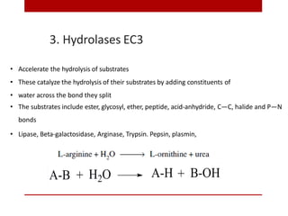 3. Hydrolases EC3
• Accelerate the hydrolysis of substrates
• These catalyze the hydrolysis of their substrates by adding constituents of
• water across the bond they split
• The substrates include ester, glycosyl, ether, peptide, acid-anhydride, C—C, halide and P—N
bonds
• Lipase, Beta-galactosidase, Arginase, Trypsin. Pepsin, plasmin,
 