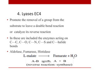 4. Lyases EC4
• Promote the removal of a group from the
substrate to leave a double bond reaction
or catalyze its reverse reaction
• In these are included the enzymes acting on
C—C, C—O, C—N, C—S and C—halide
bonds
• Aldolase, Fumarase, Histidase
 