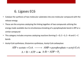 6. Ligases EC6
• Catalyze the synthesis of two molecular substrates into one molecular compound with the
release energy
• These are the enzymes catalyzing the linking together of two compounds utilizing the
energy made available due to simultaneous breaking of a pyrophosphate bond in ATP or a
similar compound
• This category includes enzymes catalyzing reactions forming C—O, C—S, C—N and C—C
bonds
• Acetyl-CoA synthetase, Glutamine synthetase, Acetyl-CoA carboxylase
 