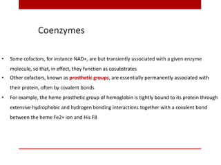 Coenzymes
• Some cofactors, for instance NAD+, are but transiently associated with a given enzyme
molecule, so that, in effect, they function as cosubstrates
• Other cofactors, known as prosthetic groups, are essentially permanently associated with
their protein, often by covalent bonds
• For example, the heme prosthetic group of hemoglobin is tightly bound to its protein through
extensive hydrophobic and hydrogen bonding interactions together with a covalent bond
between the heme Fe2+ ion and His F8
 