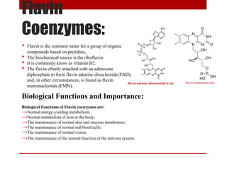 Flavin
Coenzymes:
• Flavin is the common name for a group of organic
compounds based on pteridine,.
• The biochemical source is the riboflavin.
• It is commonly know as Vitamin B2.
• The flavin oftenly attached with an adenosine
diphosphate to form flavin adenine dinucleotide(FAD),
and, in other circumstances, is found as flavin
mononucleotide (FMN).
flavin adenine dinucleotide(FAD) flavin mononucleotide
Biological Functions and Importance:
Biological Functions of Flavin coenzymes are:
→Normal energy-yielding metabolism;
→Normal metabolism of iron in the body;
→The maintenance of normal skin and mucous membranes;
→The maintenance of normal red blood cells;
→The maintenance of normal vision;
→The maintenance of the normal function of the nervous system.
 