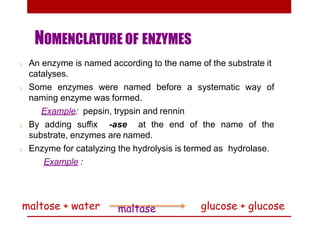 NOMENCLATURE OF ENZYMES
o An enzyme is named according to the name of the substrate it
catalyses.
o Some enzymes were named before a systematic way of
naming enzyme was formed.
Example: pepsin, trypsin and rennin
o By adding suffix -ase at the end of the name of the
substrate, enzymes are named.
o Enzyme for catalyzing the hydrolysis is termed as hydrolase.
Example :
maltose + water glucose + glucosemaltase
 